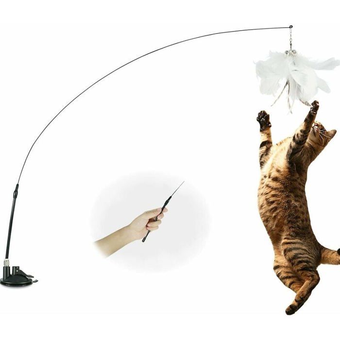 Meilleurs prix pour Jouet en plumes pour chat avec clochette et ventouse canne pche interactive pour chaton longueur de 100 couleurs mul ABRI DE JARDIN