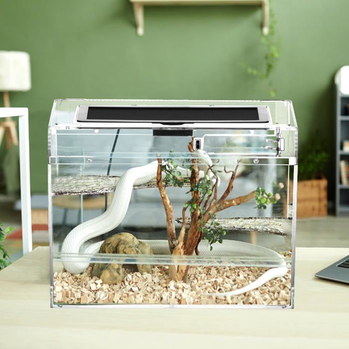 Boîte dalimentation pour reptiles - QWORK - 30x18x22cm - Transparente - Ventilée - Verrou de sécurité