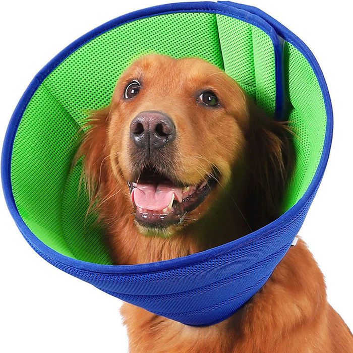 Collerette souple transparente bleue ajustable anti-grattage pour chien cône respirant .