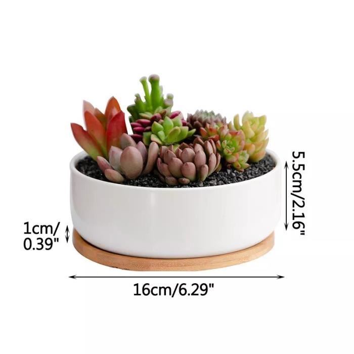 Pots De Fleurs En Porcelaine à Décorer - Lot De 6 - Pour Mini Plantes Grasses - Baker Ross