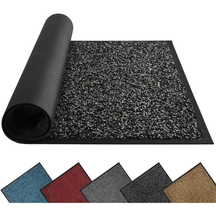 Bieiyhe Paillasson Entrée 50x80cm - Tapis Anti-Poussière Lavable, Antidérapant - Gris Foncé