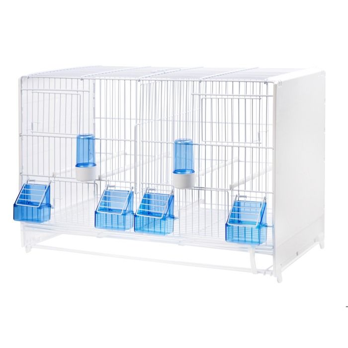 Cage Délevage 58cm Système Papier Achat Vente Volière