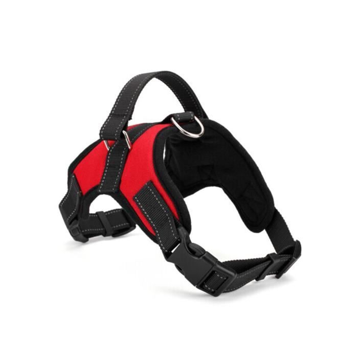 R/églable DDOXX Harnais Chien Step-in Nylon XS Harnais de Poitrine Chat Chiot pour Petit Nombreuses Couleurs /& Tailles Rouge Moyen Gros /& Grand