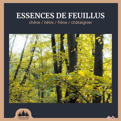 Woodok Bois D'allumage épicéa, 14 Kg, Bois D'épicéa Sec Pour