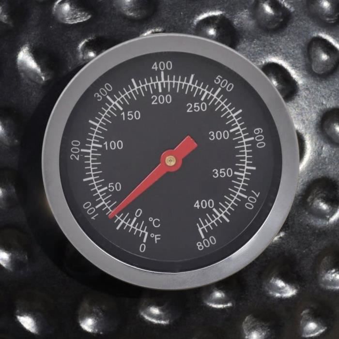 Poêle/four Camping Coleman Pliable, Avec Thermomètre, 5010C700, Bon état
