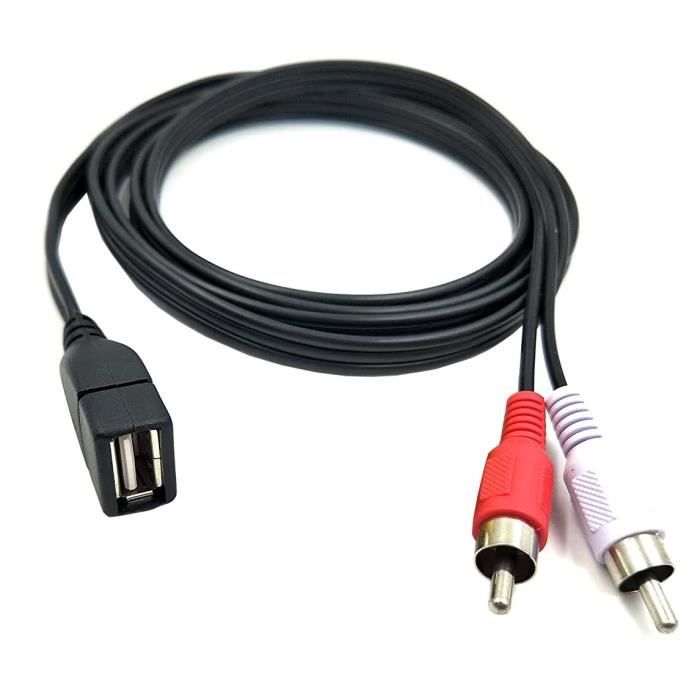 Câble USB vers 2 RCA 1,5 m USB 2.0 femelle vers 2 RCA mâle Jack Splitter  Audio Vidéo AV Composite Câble adaptateur (USB F-2RCA [584] - Cdiscount  Informatique
