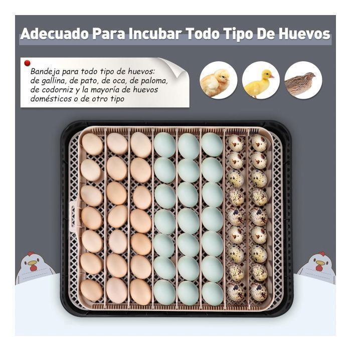 LEADZM Couveuse Oeuf Automatique 12 Oeufs avec Retournement Automatique et Ajout d'eau,Couveuse œuf Contrôle Température, Affichage Humidité,5 Modes d' incubation pour Poules Canards Oies Cailles LEADZM Couveuse Oeuf Automatique 12 Oeufs avec Retournement Automatique et Ajout d'eau,Couveuse œuf Contrôle Température, Affichage Humidité,5 Modes d' incubation pour Poules Canards Oies Cailles