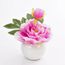 5 pièce ♥♥ énorme rose//pink plastique Bouton//Boutons ♥♥ 3,30 CM
