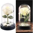 Rose artificielle avec cloche en verre et lumière LED - Blanche-0