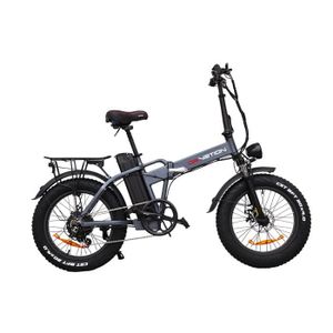 VÉLO ASSISTANCE ÉLEC FICYACTO Vélo électrique E-Bike 20'' AT20 - électrique fat bike - Batterie Samsung 48V20AH - 750W Shimano 7 vitesses - Gris