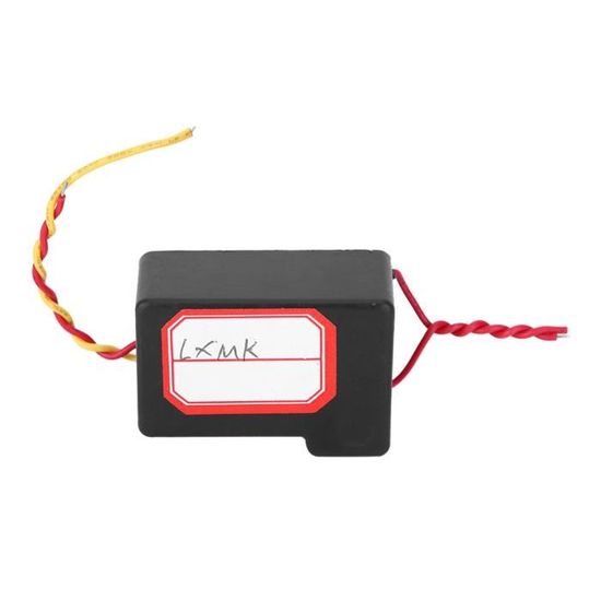 Générateur Haute Tension 30kV AC - Alimentation 12V DC - Pour Expériences Scientifiques, Générateur D'ions, Allumage Poêle - 30W - 4