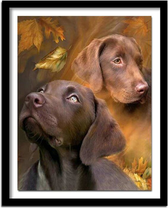 Kit Peinture Diamant 5D DIY Complet - Chien Labrador Sur L'Herbe, 40x50 Cm, Strass Brillants & Accessoires Inclus