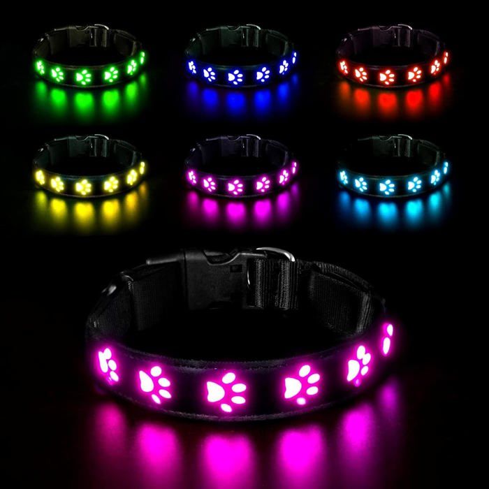 LED Collier Lumineux pour Chiens, Lumière Collier Chien Rechargeable et Etanche, avec 7 Modes d'éclairage(Coloré-S)