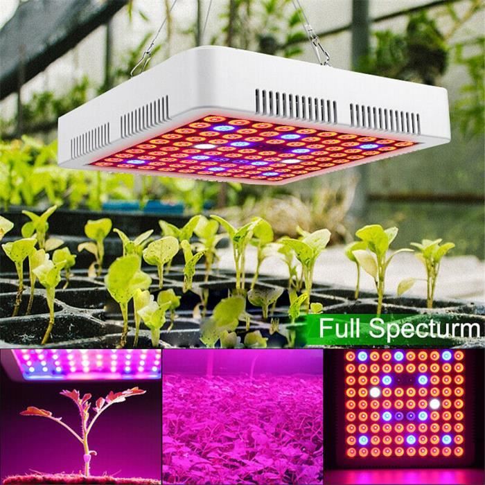 Lampe de culture à LED 1000W LED Eclairage pour plantes spectre complet pour la croissance et la floraison des plantes en intérieur with UV IR