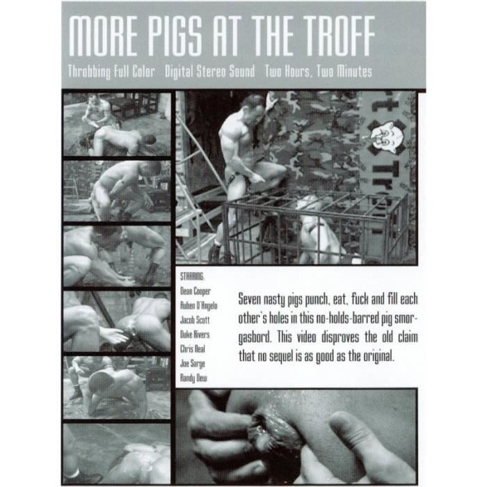 Pigs At The Troff