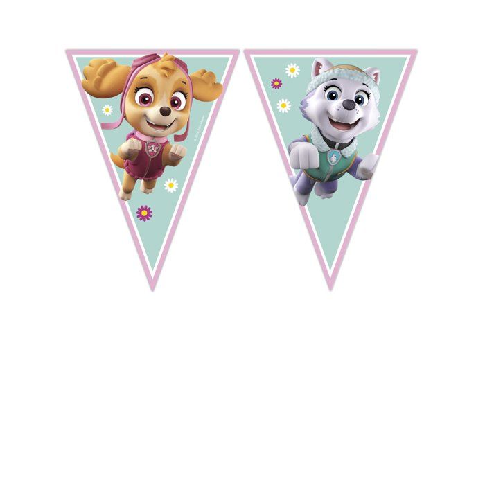 Anniversaire Pat Patrouille Fille Cdiscount