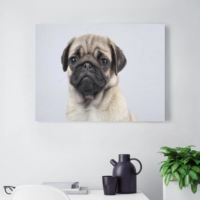 Cadeau Déstressant Art Thérapie 5D Diamant Peinture Kits Boxer Chien Jouant Avec Balle Diamond Painting