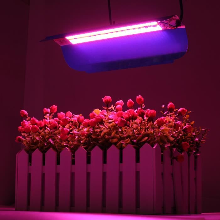 Lampe Horticole LED YAYZA! 100W Spectre Complet Dimmable - Croissance Optimale Plantes Intérieur