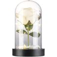 Rose artificielle avec cloche en verre et lumière LED - Blanche-1