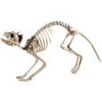 Décoration Halloween - Chat squelette Prop - Smiffys - 60x12x25cm - Naturel-0