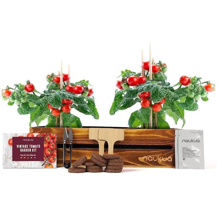 Kit De Culture Fleurs D'Été Roses ANTEVIA - Sac En Jute Prêt à Pousser Avec Graines, Terreau Et Notice