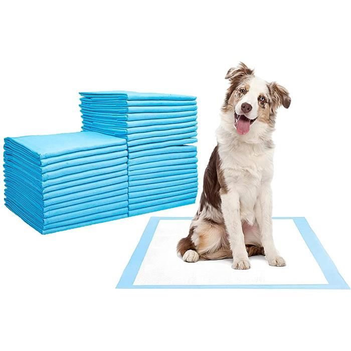Tapis éducateurs pour chiot, tapis absorbant chien alese jetable, 5 couches  (s 33x45 cm, 100 pièces) 257 - Cdiscount