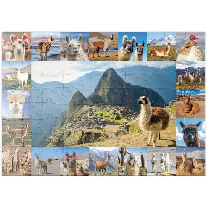 MyPuzzle La Noche Estrellada (1889) Por Vincent Van Gogh – Premium 500 Piezas Puzzle – Colección Especial MyPuzzle
