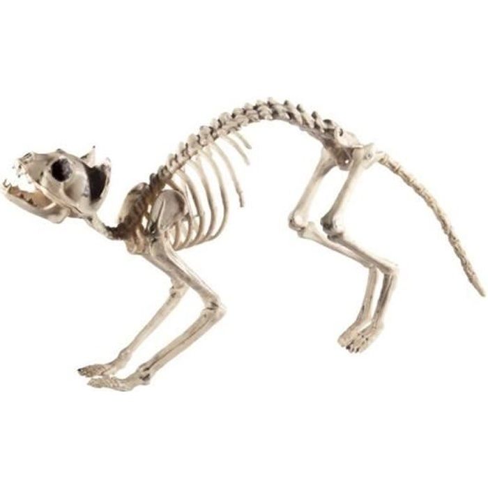 Décoration Halloween - Chat squelette Prop - Smiffys - 60x12x25cm - Naturel