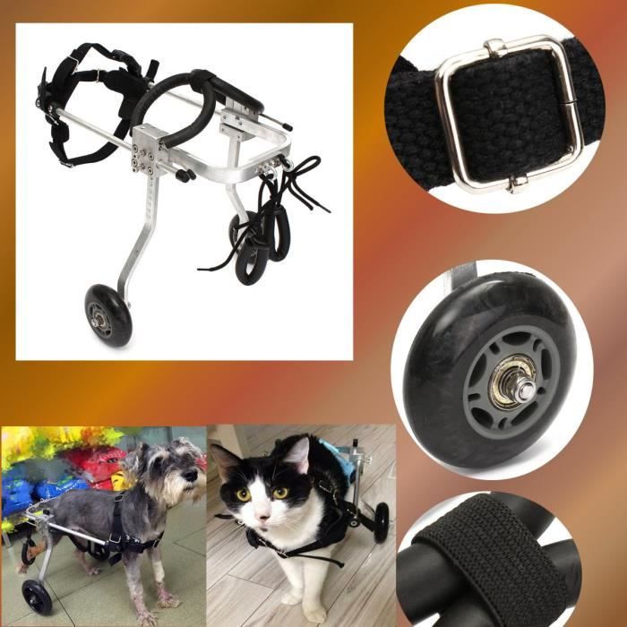 Fauteuil Roulant Pour Chat Cdiscount