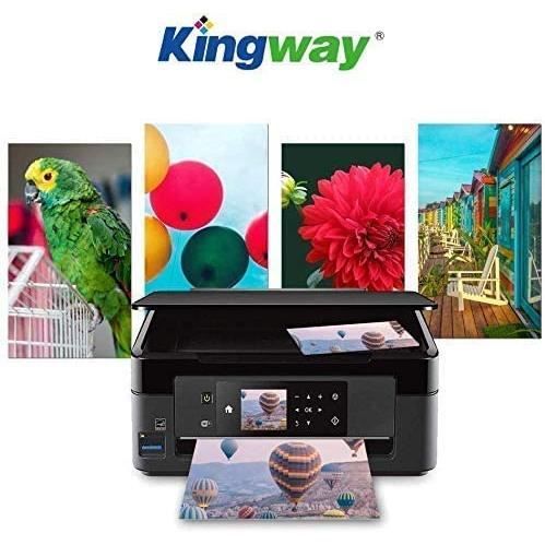 Kingway PGI-2500XL Cartouches d'encre Compatibles pour Canon PGI-2500  PGI-2500 XL pour Canon MAXIFY iB4050 iB4150 MB5050 MB515[160]