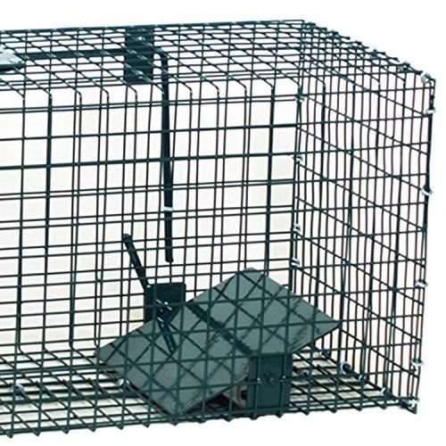 Outsunny Piège cage de capture pliante pour petits animaux type