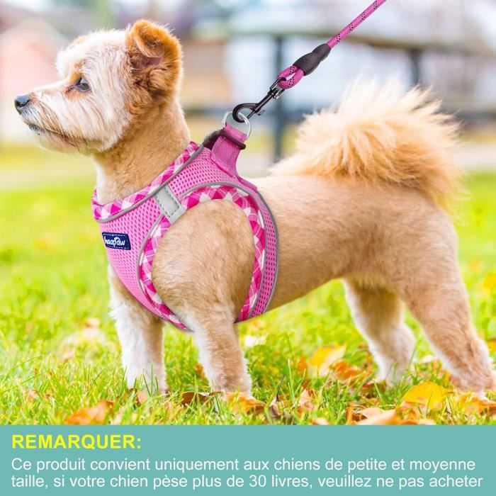 Harnais Veste Pour Chiens - Petit Chien Moyen Gilet Souple Plusieurs Couleurs Convient Également - Foto 8