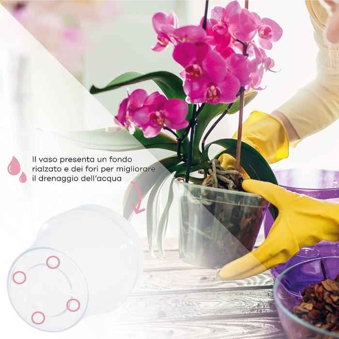 GebEarth - Kit de rempotage pour orchidées : Pot Transparent pour orchidées,  4 Trous de Drainage et Soucoupe + terreau[S175] - Cdiscount Jardin