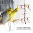 Balançoire Accrochante De Jouet De Mastication Déchelle De Perroquet En Bois Blanc Pou Cage à Oiseaux