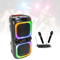 Enceinte Karaoke Bluetooth USB sur batterie TWS 600W MAD-NASH60 - 2 Micros sans-fil PARTY-200UHF Chanson Soirée Fête Anniversaire