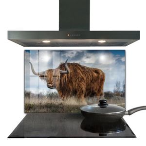 CREDENCE Fond de hotte - Decortapis - 100 x 70 cm - Verre trempé - Vache Boho des Highlands