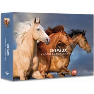 Calendrier chevaux - Cdiscount