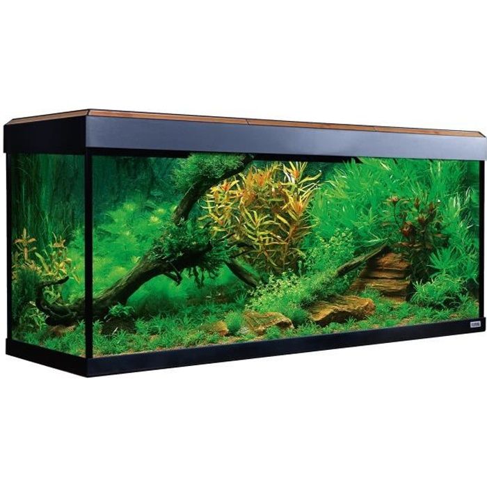 Aquarium Roma 240 Couleur Noyer