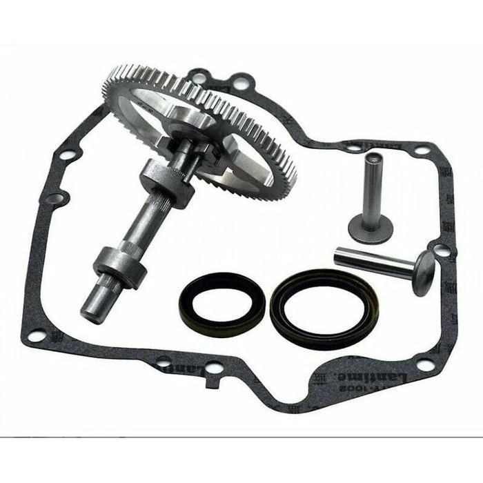 Convient pour Briggs & Stratton 793880 793583 792681 791942 795102 kit de remplacement de came avec joint dhuile 795387 et joint