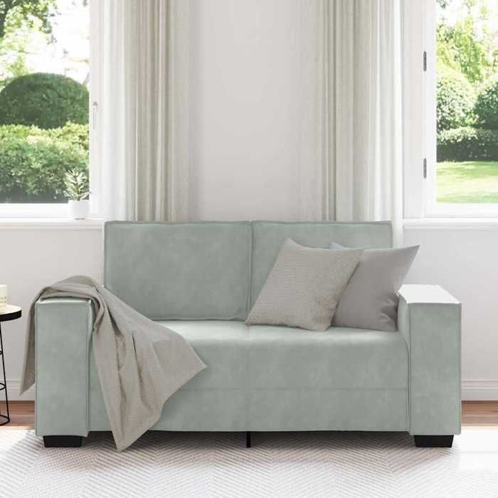 （Gris）Siège de Salon - Canapé à 2 places Gris clair 160x78x84 cm Velours - Sofa-canapé hfs96725