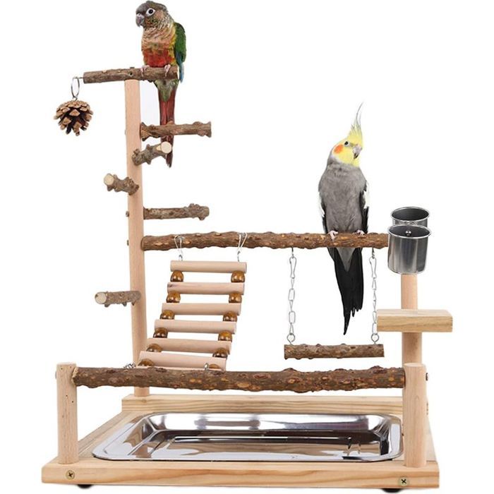 Aire de Jeux pour Oiseaux Terrain de Jeu pour Perroquet avec Support Perchoirs Gobelet dalimentation Balançoire Échelle et Platea