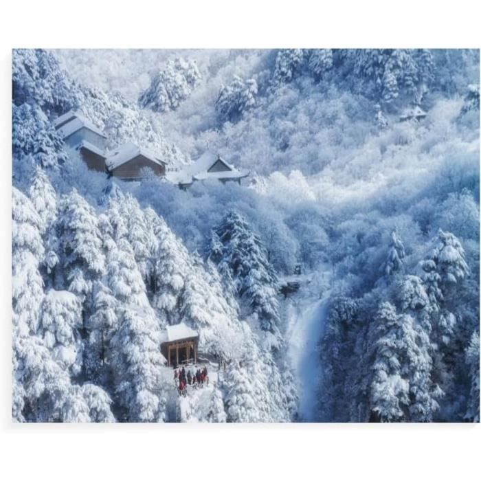 Diamond Painting Broderie Diamant Kit Complet Forêt Paysage Hiver 40X50 Kit De Peinture Diamant