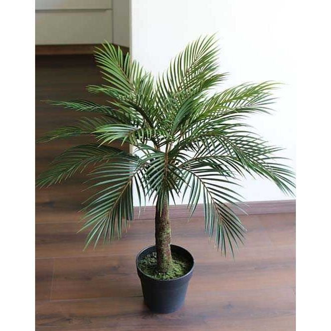 Palmier Phoenix artificiel KENDALL, vert, 90cm - Plante artificielle - Palmier  plastique - artplants - Cdiscount Maison