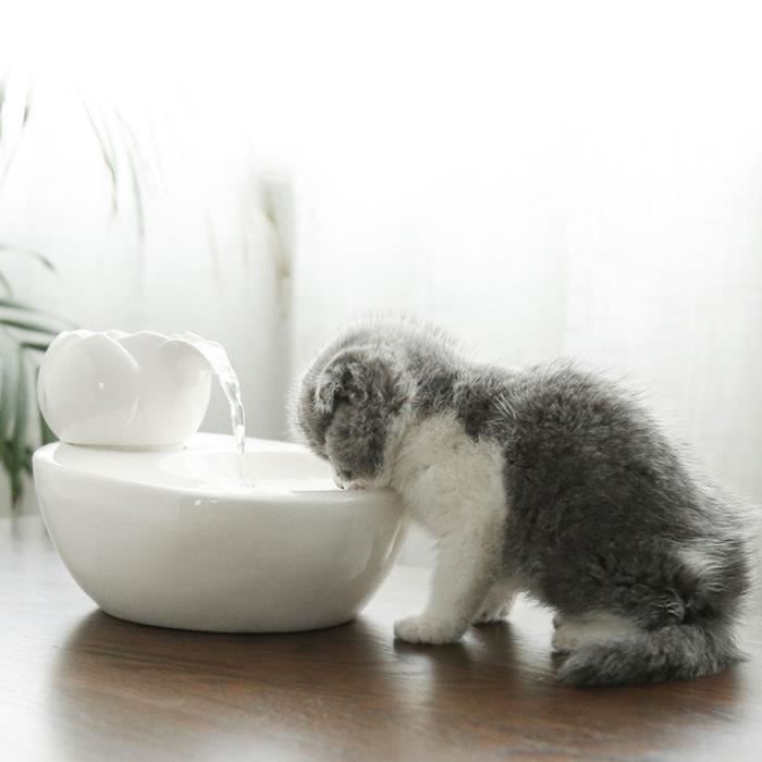 Ecuelle Distributeur Electrique Rond En Ceramique Lapin Chats Chiens Bassin Fontaine A Boire Bol D Eau Type White Plug Eu Cdiscount Ecuelle Distributeur Electrique Rond En Ceramique Lapin Chats Chiens Bassin Fontaine A Boire Bol D Eau Type White Plug Eu Cdiscount