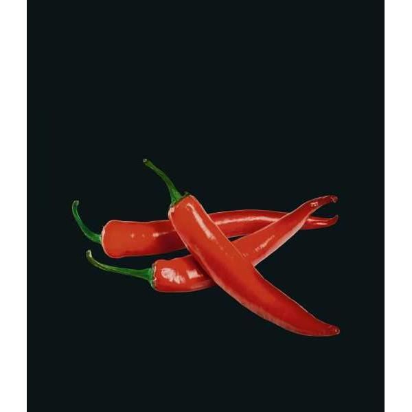 Fond de hotte cuisine en verre trempé WENKO Hot Peperoni - 60x70 cm - Multicolore