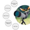 20-60X80 Zoom Longue-vue Télescope Monoculaire HD Tir à Cible à Longue Portée Verre Optique FMC Lentille avec Trépied pour Chasse-1