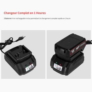 Myron 21v AC/DC Chargeur de Remplacement Compatible Pour Batterie au