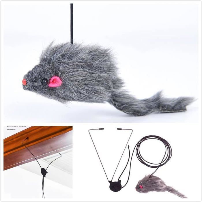 Lot de 2 jouets interactifs pour chat : balle électrique, balle Lot de 2 jouets interactifs pour chat : balle électrique, balle