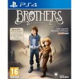 Brothers : A Tale of Two Sons Edition Reissue Jeu PS4-0