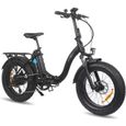 DERUIZ AMBER 20 Pouces Vélo électrique 500W 48V Fat VTT pliable Ebike Electric Bike, 624Wh Batterie 38km/h pour Adulte(Noir)-0